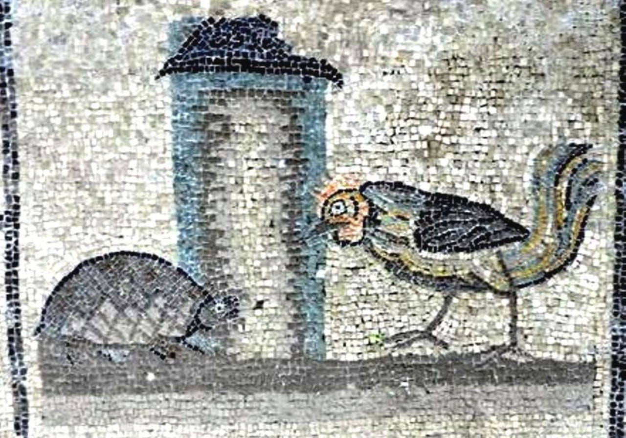 Черепаха – олицетворение тьмы